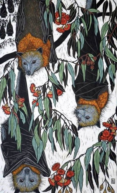 Rachel Newling, 'Grey Headed Flying Fox' hand coloured linocut.jpeg