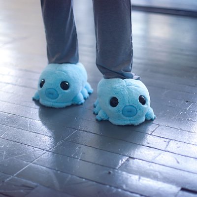 tardigrade-slippers.jpg