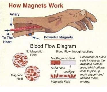Magnets and blood flow.jpg
