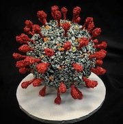 covid-19-corona-virus-3d-cake.jpg