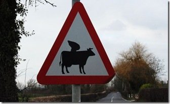 flying cow sign from blog spot.jpg
