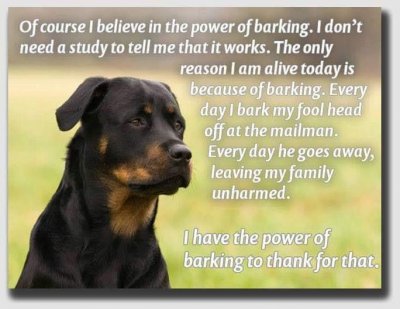 The power of barking.jpg