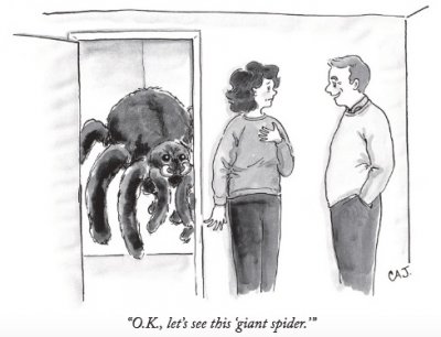New Yorker Spider.jpg