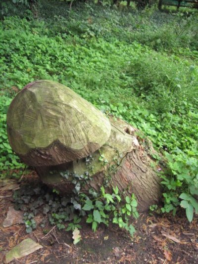 A carved tree stump at Reaseheath.jpg