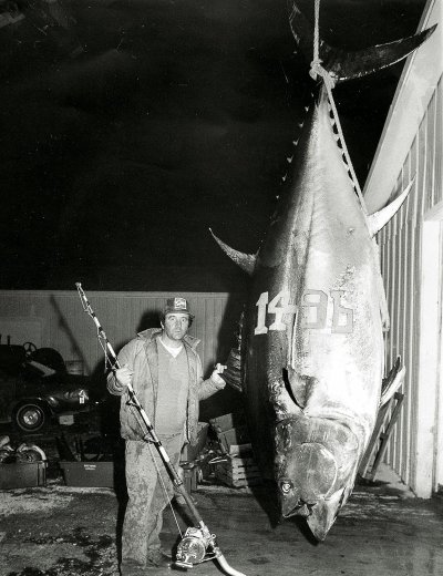 bluefin-tuna-world-record_mar1116_bac_1-1.jpg