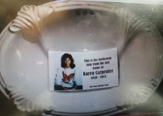 Karen Carpenter's bathroom sink.jpg