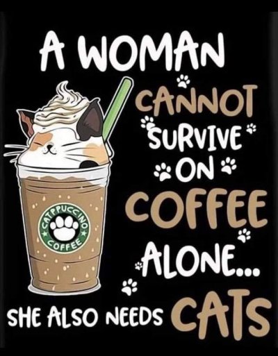 coffee and cats.jpeg