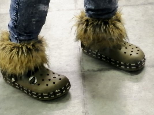 Chewbacca Crocs in their winter coat..jpeg