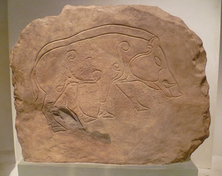 754px-Pictish_symbol_stone_from_Dores.JPG