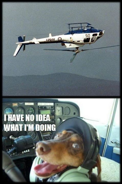 a_aaa-Flying-Dog-Helicopter.jpg
