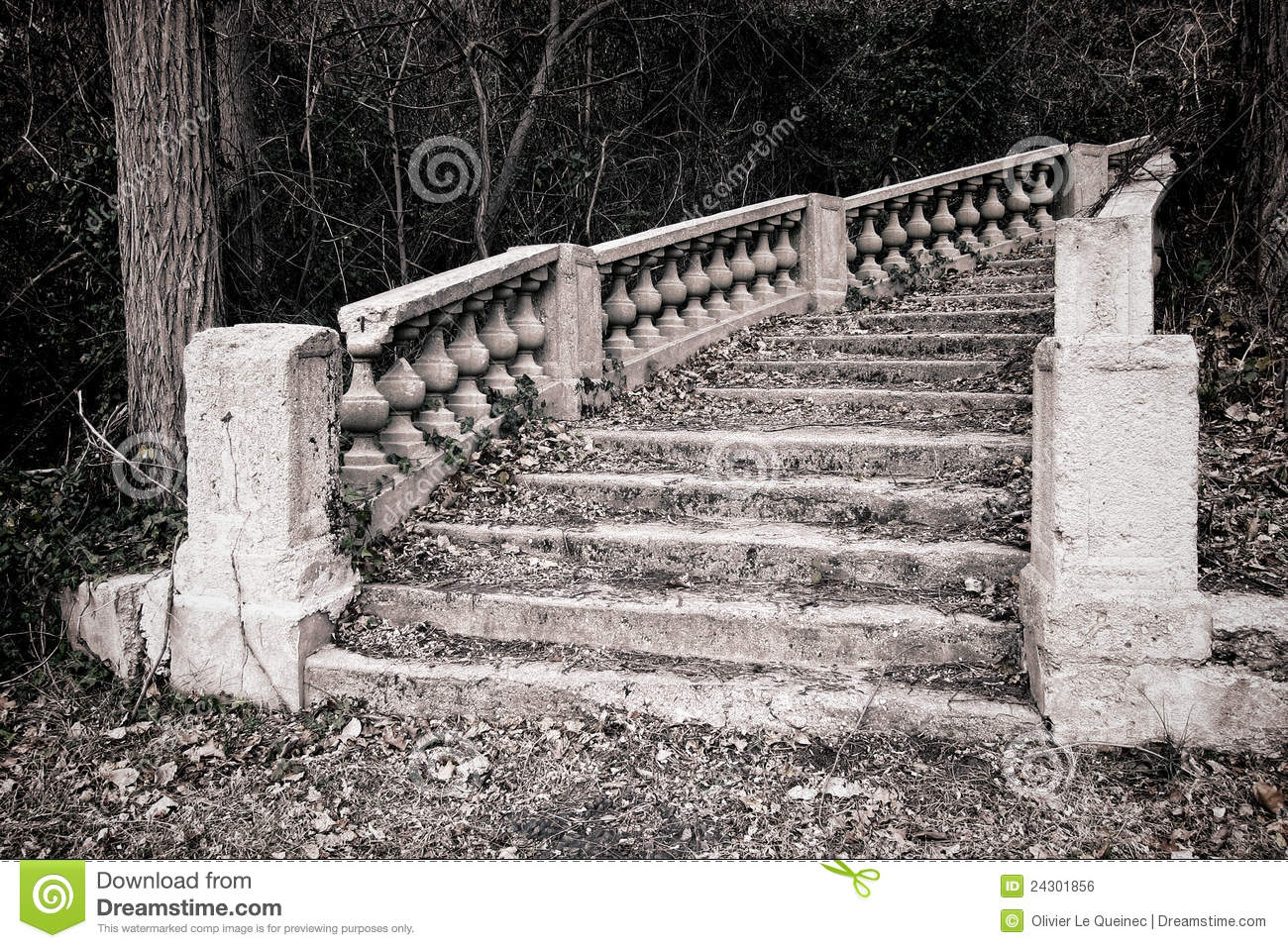 abandoned-monumental-staircase-overgrown-woods-24301856.jpg