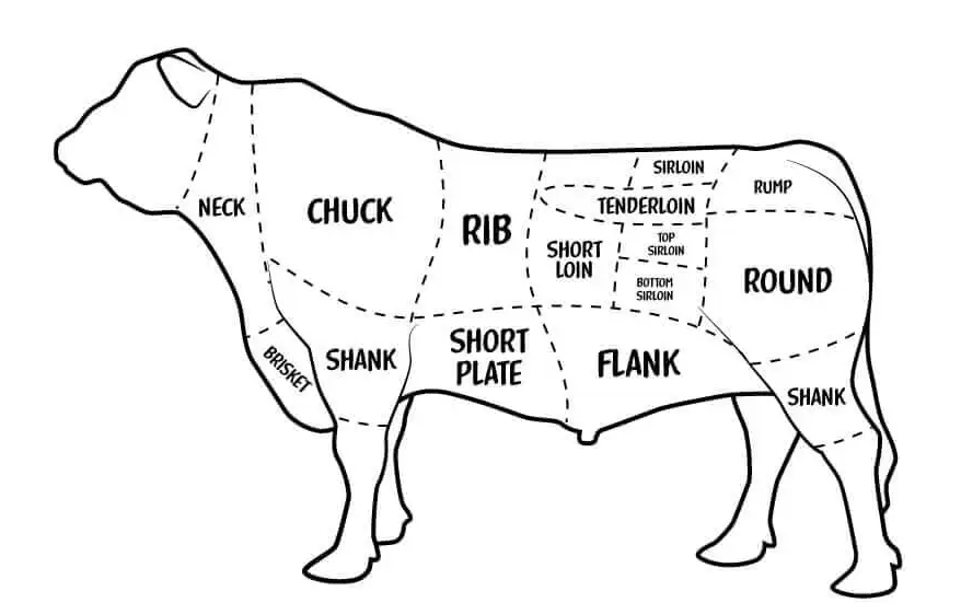 beef cuts.png