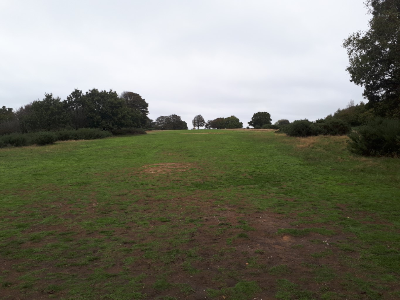 Coombe Hill wide flat area resized.jpg