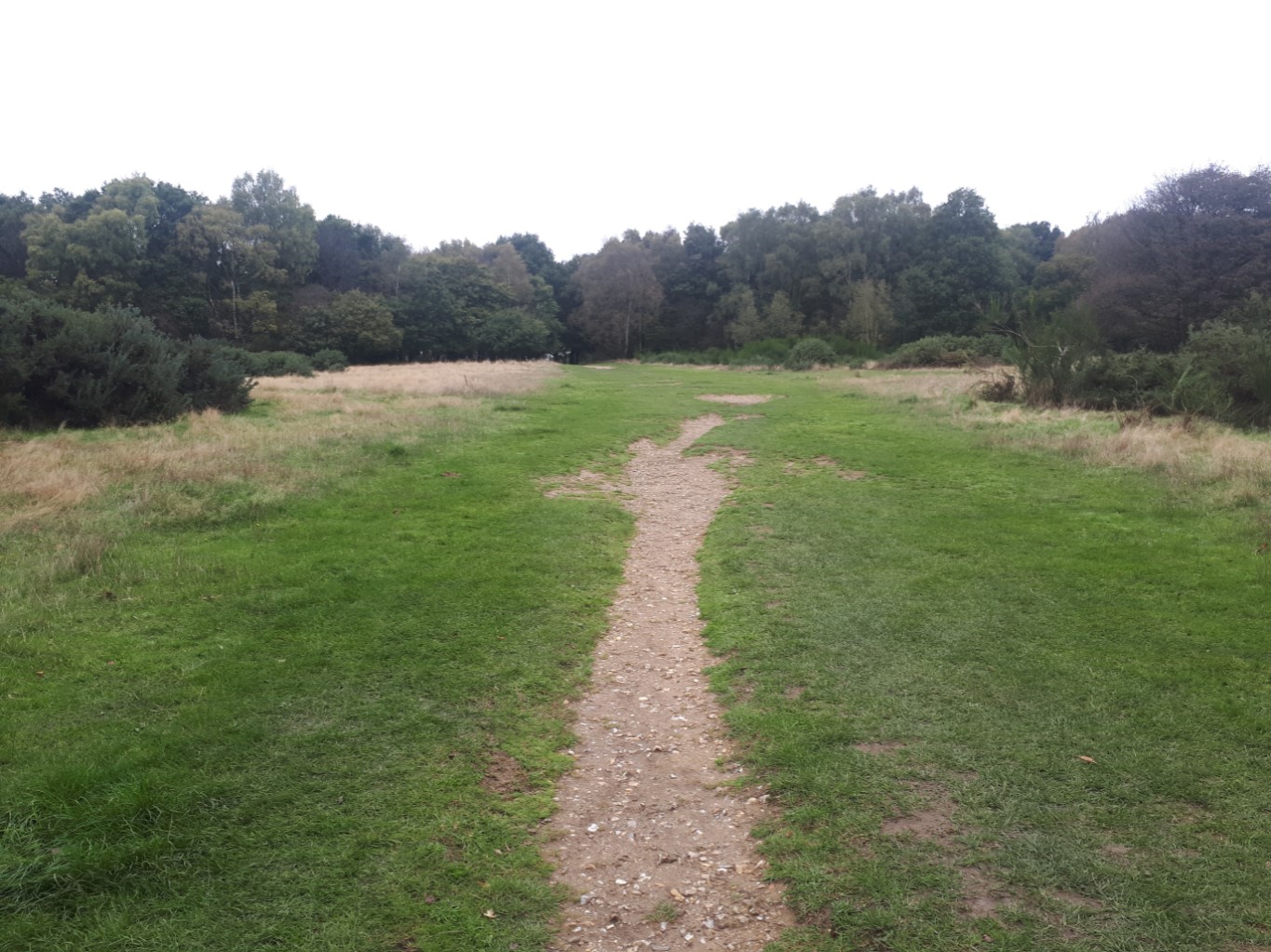 Coombe Hill wide path resized.jpg