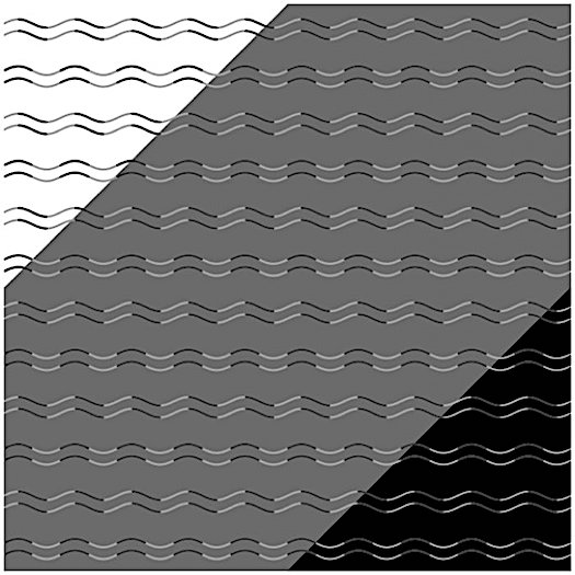 Curvature-Blindness-Illusion.jpg