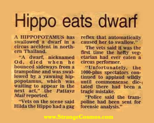 hippo dwarf.jpg