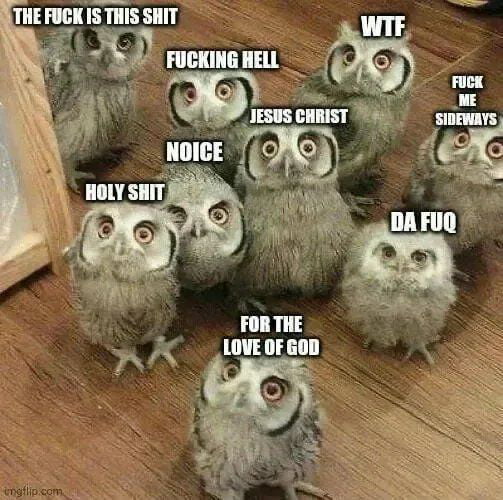 Holy Shit Owls meme.jpg