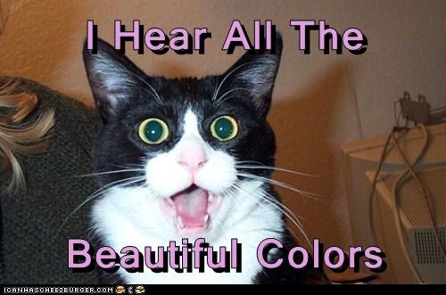 i-hear-all-the-beautiful-colors.jpeg