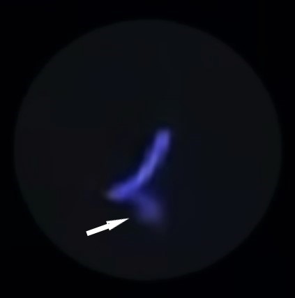 Latest UFO sighting.jpg