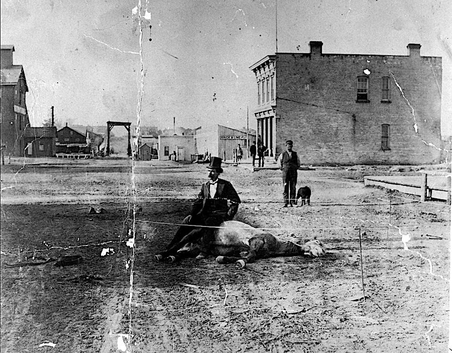 Man_sitting_on_a_dead_horse_(1876_-_1884).jpg
