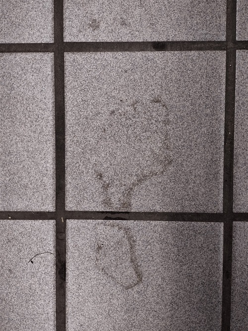 mysterious footprint.jpg