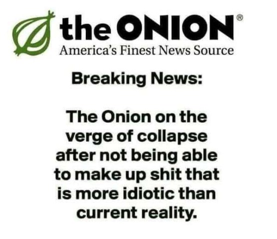 Onion on the verge of collapse.jpg