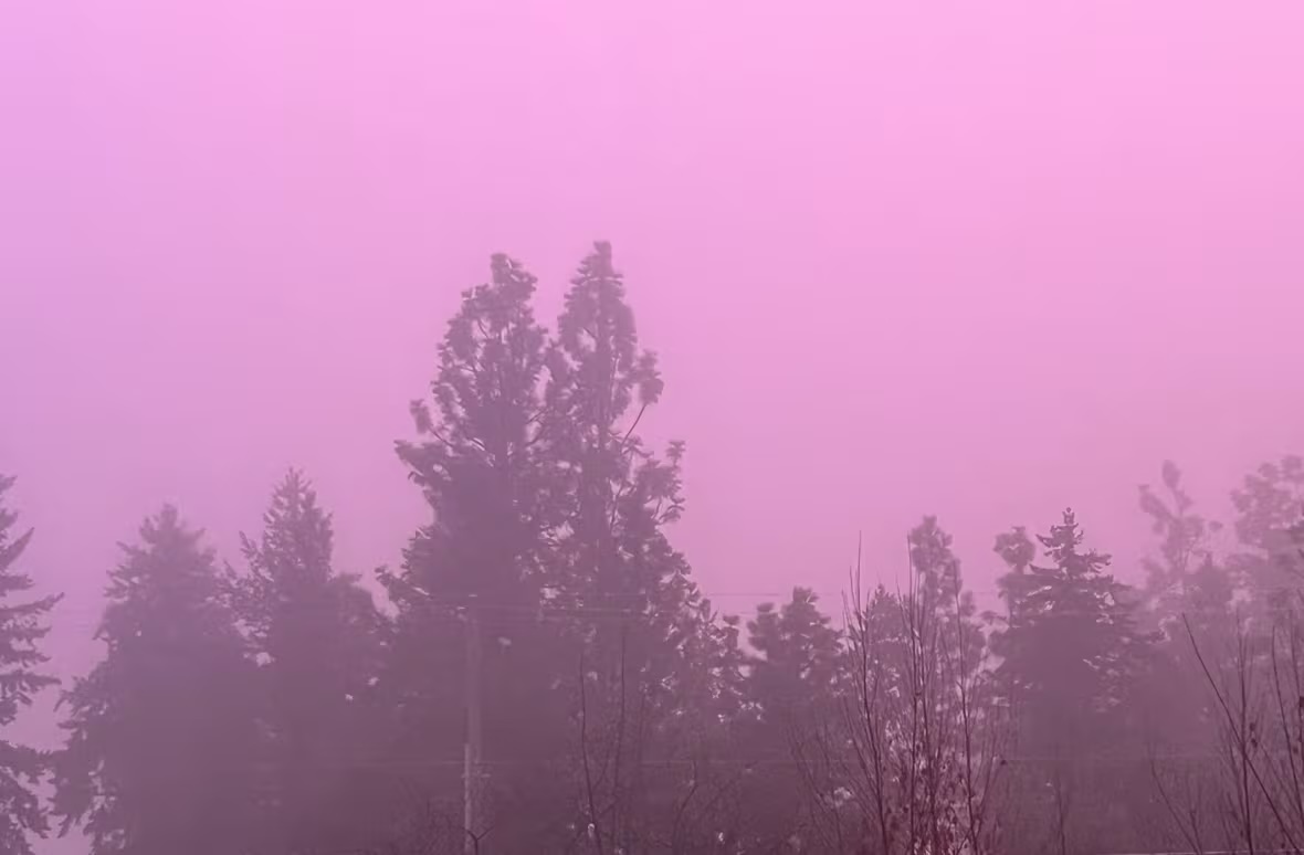 pink-fog.jpeg