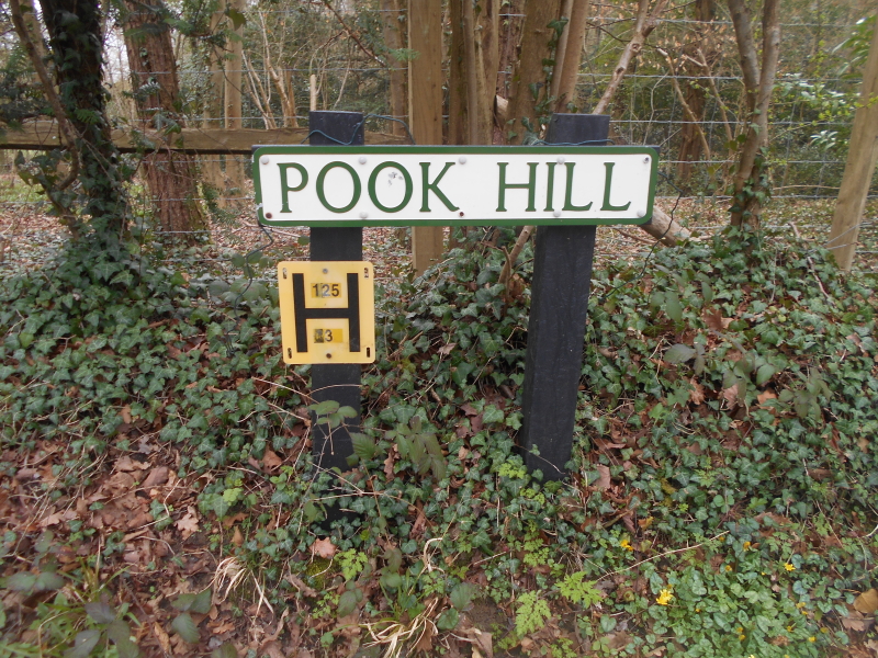 Pook Hill.JPG