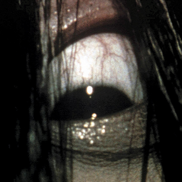 Sadako Eye.png