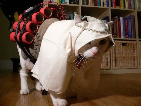 Suicide-Bomber-Cat-Costume.jpg