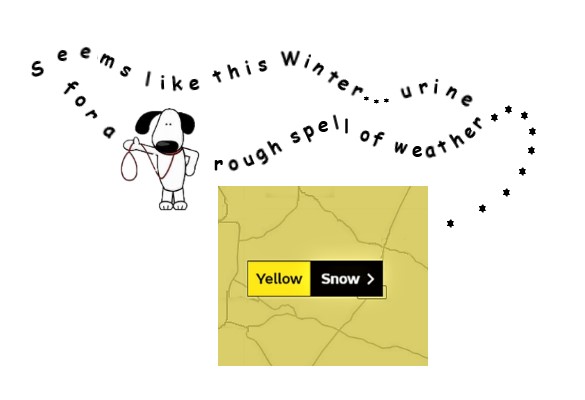 Yellow Snow.jpg