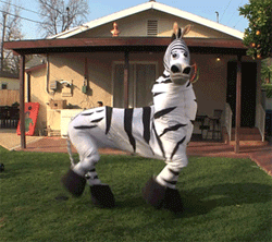 zebra-costume-running-man.gif