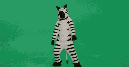 zebra-dancing.gif